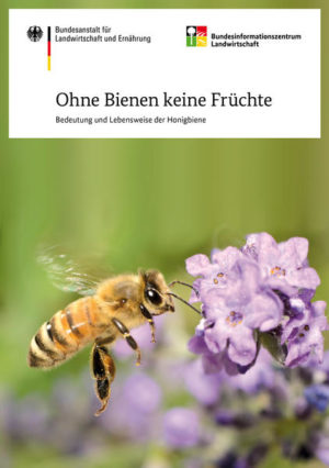 Honighäuschen (Bonn) - Unsere kleinsten Nutztiere liefern nicht nur Wachs und Honig, sie bestäuben auch fast 80 % der Nutzpflanzen. Ein großer Teil unserer Nahrungsmittel hängt indirekt mit den Bienen zusammen. Sie sorgen auch für eine Vielfalt in der Natur. Das Heft vermittelt einen Einblick in die faszinierende Welt der Bienen, ihre soziale Organisation und ihre Fähigkeit miteinander zu kommunizieren. Es gibt jedoch immer weniger lohnende Blüten für sie. Jeder Garten- und Balkonbesitzer kann dazu beitragen, Bienen Nahrungspflanzen vom zeitigen Frühjahr bis zum Herbst zur Verfügung zu stellen. Bienenschutz geht alle an.