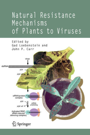 Honighäuschen (Bonn) - This book is a first attempt to link well-known plant resistance phenomena with emerging concepts in molecular biology. Resistance phenomena such as the local lesion response, induced resistance, "green islands" and resistance in various crop plants are linked with new information on gene-silencing mechanisms, gene silencing suppressors, movement proteins and plasmodesmatal gating, downstream signalling components, and more.