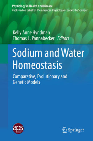 Honighäuschen (Bonn) - This book presents cutting edge methods that provide insights into the pathways by which salt and water traverse cell membranes and flow in an orchestrated fashion amongst the many compartments of the body. It focuses on a number of molecular, cellular and whole animal studies that involve multiple physiological systems and shows how the internal milieu is regulated by multifactorial gene regulation, molecular signaling, and cell and organ architecture.Topics covered include: water channels, the urinary concentrating mechanism, angiotensin, the endothelin system, miRNAs and MicroRNA in osmoregulation, desert-adapted mammals, the giraffe kidney, mosquito Malpighian tubules, and circadian rhythms. The book highlights how different approaches to explaining the same physiological processes greatly increase our understanding of these fundamental processes. Greater integration of comparative, evolutionary and genetic animal models in basic science and medical science will improve our overall grasp of the mechanisms of sodium and water balance.