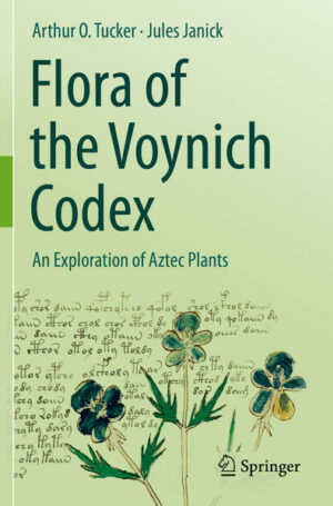 Honighäuschen (Bonn) - The Voynich Codex is one the most fascinating and bizarre manuscripts in the world. The manuscript (potentially equivalent to 232 pages), or more properly a codex, consists of many foldout pages. It has been divided by previous researchers into sections known as Herbal/Botanical/Pharmacology