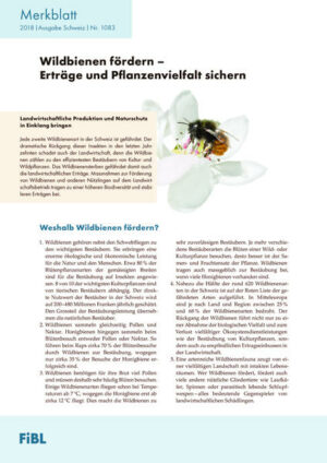 Das Merkblatt zeigt anhand zahlreicher Massnahmen, wie landwirtschaftliche Produktion und Wildbienenförderung zum Vorteil beider kombiniert werden können.