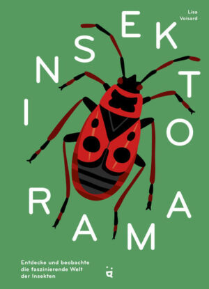 Insektorama: Entdecke und beobachte die faszinierende Welt der Insekten | Lisa Voisard