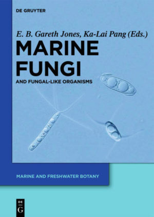 Honighäuschen (Bonn) - Marine fungi play a major role in marine and mangrove ecosystems. Understanding how higher fungi with their spectrum of cellulolytic and ligninolytic enzymes degrade wood tissue, while labyrinthuloids and thraustochytrids further contribute to the dissolved organic matter entering the open ocean is essential to marine ecology. This work provides an overview of marine fungi including morphology and ultrastructure, phylogeny, biogeography and biodiversity. Increasingly, biotechnology is also turning to these organisms to develop new bioactive compounds and to address problems such as decomposition of materials in the ocean and bioremediation of oil spills. These potential applications of marine fungi are also treated. In the light of massive marine oil spills in the past years, the importance of understanding marine fungi and their role in the food chain cannot be underestimated.