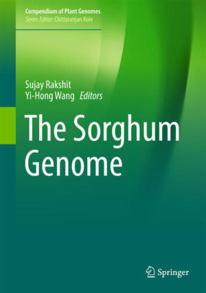 Honighäuschen (Bonn) - This book provides insights into the current state of sorghum genomics. It particularly focuses on the tools and strategies employed in genome sequencing and analysis, public and private genomic resources and how all this information is leading to direct outcomes for plant breeders. The advent of affordable whole genome sequencing in combination with existing cereal functional genomics data has enabled the leveraging of the significant novel diversity available in sorghum, the genome of which was fully sequenced in 2009, providing an unmatched resource for the genetic improvement of sorghum and other grass species. Cultivated grain sorghum is a food and feed cereal crop adapted to hot and dry climates, and is a staple for 500 million of the worlds poorest people. Globally, sorghum is also an important source of animal feed and forage, an emerging biofuel crop and model for C4 grasses, particularly genetically complex sugarcane.