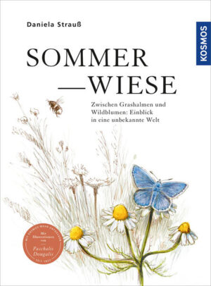 Sommerwiese: Zwischen Grashalmen und Wildblumen: Einblick in eine unbekannte Welt | Daniela Strauß