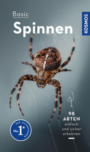 Basic Spinnen: einfach und sicher erkennen | Lars Wilker