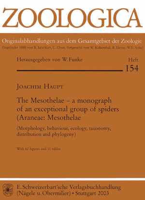 Honighäuschen (Bonn) - All organ systems of mesothelid spiders are revised and supplemented with new information. This concerns particularly the eyes, which were studied by TKM comparing the data with previous results. Based on ultrastructure, histology and experimental observations a hypothesis on vision in heptathelid spiders is proposed. The ultrastructure of the mesothelid tarsal organ and the trichobothria is described for the first time. Both organs are equipped with numerous sensory cells. The respiratory capabilitiy of mesothelids is investigated and discussed in relation to mygalomorph and araneomorph spiders, which represent the two major taxa of opisthothelid Araneae. A special chapter is devoted to the morphology and function of the male palpal organ which is compared to respective organs in mygalomorph and araneomorph spiders. Its function is explained using morphological and experimental data. Ecological aspects deal with the habitats of Mesothelae and especially microbial diseases. In the chapter on taxonomy current problems concerning mesothelid species are critically discussed from a general zoological perspective.