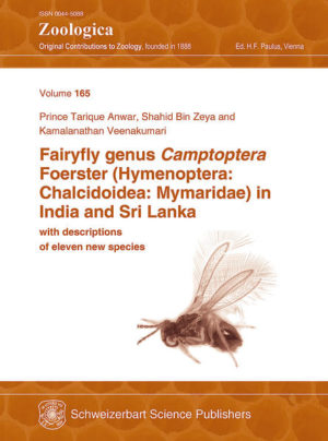 Honighäuschen (Bonn) - Volume 165 of Zoologica is a comprehensive study of the fairyfly genus Camptoptera Foerster in India and Sri Lanka. The species of Camptoptera are among the smallest known insects. Their taxonomy is mostly based on the mesosomal sculpture, which makes cleared slide mounts necessary for their correct identification. The authors of this volume present a rather simple and better slide mounting technique especially for the smaller chalcids to make the mounted specimens clearer and more visible. Based on a large collection of specimens from all over India and types of previously described taxa, a total of 26 different morphospecies were found to be present in both the countries out of which 11 species are described as new. These are C. alii Anwar & Zeya, sp. nov., C. anneckei Anwar & Zeya, sp. nov., C. bengalurensis Anwar & Zeya, sp. nov., C. fawnae Anwar & Zeya, sp. nov., C. huberi Anwar & Zeya, sp. nov., C. naseemi Anwar & Zeya, sp. nov., C. natalieae Anwar & Zeya, sp. nov., C. ogloblini Anwar & Zeya, sp. nov., C. scythe Anwar & Zeya, sp. nov., C. squama Anwar & Zeya, sp. nov. and C. usmanii Anwar & Zeya, sp. nov. Four species, C. fransciscae (Debauche), C. doptera Triapitsyn, C. okadomei Taguchi and C. papaveris Foerster, are recorded for the first time from India. However, identification of two species i.e. C. franciscae and C. okadomei is tentative. Two species Camptoptera muiri (Perkins) and C. sakaii Taguchi recorded from India were found to be misidentified and are now described as C. fawnae Anwar & Zeya, sp. nov. and C. ogloblini Anwar & Zeya, sp. nov., respectively. The other recorded species, C. dravida Subba Rao, from several Indian states were found to be incorrect and are now replaced by C. enocki (Howard). Male specimen are re-described for the previously described females of C. assamensis Rehmat & Anis, C. dravida Subba Rao, C. franciscae and C. matcheta Subba Rao. The male paratype of C. dravida is considered to belong to C. enocki (Howard), and the male paratype of C. matcheta is described to be an unidentified species of Eofoersteria Mathot. A key to females of 25 species from India and Sri Lanka is provided.
