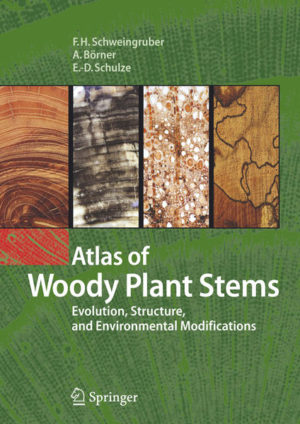Honighäuschen (Bonn) - This atlas gives a unique assemblage of microscopic slides of wood anatomy and of the respective species in nature and demonstrates the reaction of stem anatomy to environments in which plants form woody stems. It provides insight into the evolution of wood, to the variation of wood anatomy in response to climate and disturbances, and it gives an introduction to the methodology used to study wood. Special attention has been given to the unique feature of secondary growth. In color throughout and with more than 700 both beautiful and instructive illustrations, the wide-ranging scientific content of this book makes it both attractive and unique.