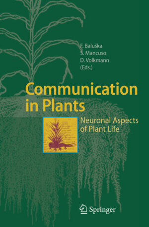 Honighäuschen (Bonn) - Plant neurobiology is a newly emerging field of plant sciences. It covers signalling and communication at all levels of biological organization  from molecules up to ecological communities. In this book, plants are presented as intelligent and social organisms with complex forms of communication and information processing. Authors from diverse backgrounds such as molecular and cellular biology, electrophysiology, as well as ecology treat the most important aspects of plant communication, including the plant immune system, abilities of plants to recognize self, signal transduction, receptors, plant neurotransmitters and plant neurophysiology. Further, plants are able to recognize the identity of herbivores and organize the defence responses accordingly. The similarities in animal and plant neuronal/immune systems are discussed too. All these hidden aspects of plant life and behaviour will stimulate further intense investigations in order to understand the communicative plants in their whole complexity.