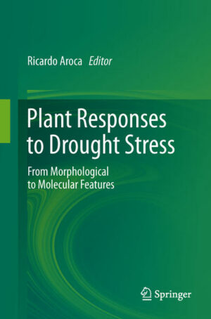 Honighäuschen (Bonn) - This book provides a comprehensive overview of the multiple strategies that plants have developed to cope with drought, one of the most severe environmental stresses. Experts in the field present 17 chapters, each of which focuses on a basic concept as well as the latest findings. The following major aspects are covered in the book: · Morphological and anatomical adaptations · Physiological responses · Biochemical and molecular responses · Ecophysiological responses · Responses to drought under field conditions The contributions will serve as an invaluable source of information for researchers and advanced students in the fields of plant sciences, agriculture, ecophysiology, biochemistry and molecular biology.
