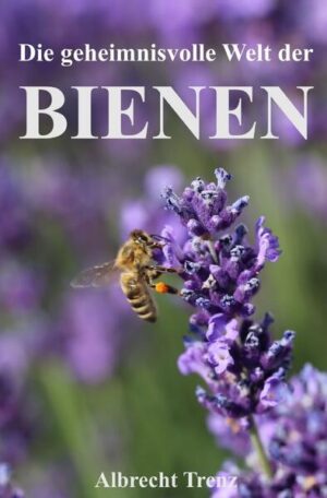Die geheimnisvolle Welt der Bienen | Albrecht Trenz