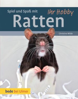 Honighäuschen (Bonn) - Alles für die Ratz - Schöner wohnen: Was Ratten wollen - Artgerechte Beschäftigung: Mit Ratten spielen - Plus: Bastelanleitungen für rattengerechtes Zubehör Farbratten werden als Heimtiere immer beliebter. Kein Wunder, denn die kleinen Nager sind außerordentlich clever, verspielt, neugierig und anhänglich! In abwechslungsreich gestalteten Gehegen und auf Rattenspielplätzen mit rattengerechtem Zubehör fühlen sich die talentierten Kletterkünstler rattenwohl. Nagerexpertin Christine Wilde verrät, wie Wohlfühlheime für Ratten aussehen, gibt Tipps zur Gehegeeinrichtung und zeigt, wie man Ratten kleine Tricks beibringen und die intelligenten Knopfaugen so spielerisch beschäftigen kann.