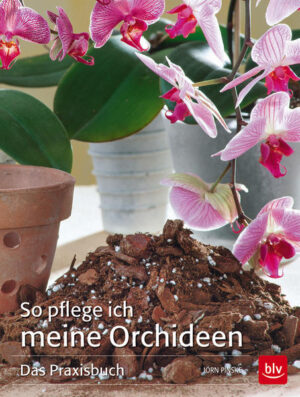 Honighäuschen (Bonn) - Das einzige Buch, das ausschließlich die Orchideen-Pflege behandelt. Alle gängigen Orchideen mit jeweils typischen Wachstumsstadien. Zur jeweiligen Art: Pflege, Vermehrung, Pflanzenschutz. Die wichtigsten Problemlösungen in Bildserien.