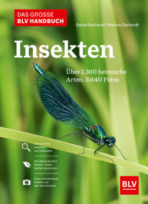 Honighäuschen (Bonn) - Die ganze Artenvielfalt der heimischen Insekten in einem Buch: Über 1.360 Arten, detailliert beschrieben und bebildert. 3.640 Fotografien zeigen jede Art in den wichtigsten Stadien, Situationen und in ihrer geschlechtsspezifischen Erscheinung. Die Autoren haben die Ergebnisse ihrer jahrzehntelangen Begeisterung für Insekten in diesem einzigartigen Handbuch versammelt: Eine beispiellose Arten- und Bildvielfalt machen es zu einem unverzichtbaren Werk für alle, die sich für Insekten, Artenvielfalt und das Ökosystem interessieren. Die Insekten wurden systematisch nach Familien eingeteilt, die farblich gekennzeichnet sind.Die detaillierten Beschreibungen erfüllen die Ansprüche interessierter Laien sowie professioneller Leser.