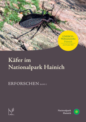 Käfer im Nationalpark Hainich | Andreas Weigel