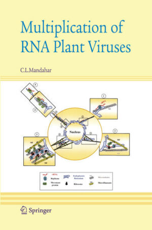 Honighäuschen (Bonn) - Biochemical studies on plant virus RNA replication have advanced considerably since 2000, primarily because of new genetic, molecular, biochemical, and enzymatic studies. This book generates understanding of multiplication of plus-sense RNA plant viruses, especially at molecular level. Certain virus-encoded essential proteins, nucleotide sequence motifs, and RNA secondary structures are central to virus RNA replication, which has a number of stages. Each is a complex phenomenon requiring specific factors and conditions.