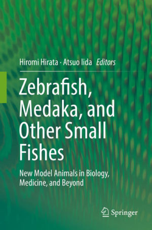 Honighäuschen (Bonn) - This book provides cutting-edge studies and technologies using small fishes, including zebrafish, medaka, and other fishes as new model animals for molecular biology, developmental biology, and medicine. It also introduces eccentric fish models that are pioneering new frontiers of biology. Zebrafish and medaka have been developed as lower vertebrate model organisms because these small fish are easy to raise in the laboratory and are useful for the live imaging of the morphology and activity of cells and tissues in intact animals. By virtue of those specific advantages, fish studies have demonstrated the common features of vertebrates and raised further questions toward understanding the mystery of life. The book consists of four parts: Development and Cell Biology, Homeostasis and Reproduction, Clinical Models, and Eccentric Fish. Together they describes the core area of small fish study  often considered mere zoology but which is actually proving to be the universal basis of life. Written by leading scientists, the book helps readers to understand small fishes, inspires scientists to utilize small fishes in their studies, and encourages anyone who wants to participate in the large and fantastic world of small fish.