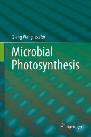 Honighäuschen (Bonn) - As the largest scale chemical reaction, photosynthesis supplies all of the organic carbon and oxygen for life on Earth. It is estimated that the photosynthetic activity of microorganisms is responsible for more than 50% of the primary production of molecular oxygen on Earth.This book highlights recent breakthroughs in the multidisciplinary areas of microbial photosynthesis, presenting the latest developments in various areas of microbial photosynthesis research, from bacteria to eukaryotic algae, and from theoretical biology to structural biology and biophysics. Furthermore, the book discusses advances in photosynthetic chassis, such as in the context of metabolic engineering and green chemical production. Featuring contributions by leading authorities in photosynthesis research, the book is a valuable resource for graduate students and researchers in the field, especially those studying biological evolution and the origin of life.