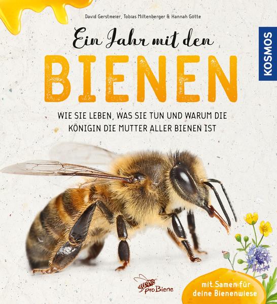 Honighäuschen (Bonn) - Was machen Bienen im Winter? Wie finden sie den Nektar? Und warum hätten wir ohne Bienen nicht genug zu essen? Dieses Buch weckt die Neugier auf die fleißigen Tierchen, beschreibt das Leben des Schwarms im Jahreslauf und erklärt wie man ökologisch imkert. Außerdem gibt es jede Menge Tipps für Aktivitäten: Mit den beiliegenden Samen kann eine bunte Wiese für Bienen und andere Insekten angelegt werden. Es gibt nützliche Infos wie Futter und Behausungen für Wildbienen selber gemacht werden können, wie Honigbienen aus der Nähe beobachtet werden können ohne dabei gestochen zu werden und vieles mehr.