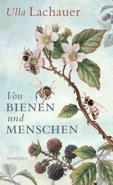Von Bienen und Menschen | Honighäuschen