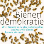 Bienendemokratie | Honighäuschen