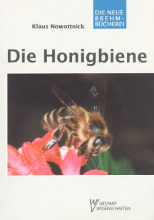 Die Honigbiene | Honighäuschen