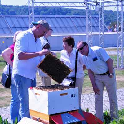 Im Honighäuschen gibt es Fachbücher und Ratgeber zu Imkerei und Umweltthemen
