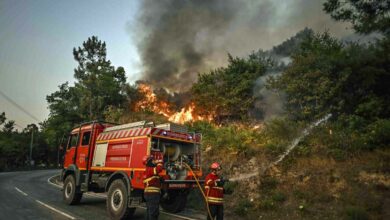 Feuerwehrmänner bekkämpfen einen Waldbrand bei Eiriz im Norden von Portugal (Foto: Patricia Melo Moreira/AFP)