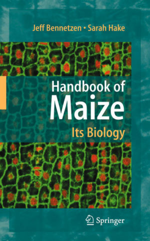Honighäuschen (Bonn) - Handbook of Maize: Its Biology centers on the past, present and future of maize as a model for plant science research and crop improvement. The book includes brief, focused chapters from the foremost maize experts and features a succinct collection of informative images representing the maize germplasm collection.