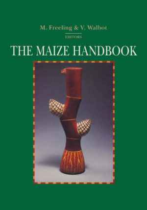 Honighäuschen (Bonn) - The Maize Handbook represents the collective efforts of the maize research community to enumerate the key steps of standard procedures and to disseminate these protocols for the common good. Although the material in this volume is drawn from experience with maize, many of the procedures, protocols, and descriptions are applicable to other higher plants, particularly to other grasses. The power and resolution of experiments with maize depend on the wide range of specialized genetic techniques and marked stocks