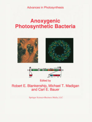 Honighäuschen (Bonn) - Anoxygenic Photosynthetic Bacteria is a comprehensive volume describing all aspects of non-oxygen-evolving photosynthetic bacteria. The 62 chapters are organized into themes of: Taxonomy, physiology and ecology