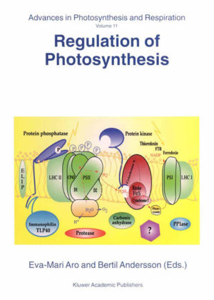 Honighäuschen (Bonn) - This book covers the expression of photosynthesis related genes including regulation both at transcriptional and translational levels. It reviews biogenesis, turnover, and senescence of thylakoid pigment protein complexes and highlights some crucial regulatory steps in carbon metabolism.