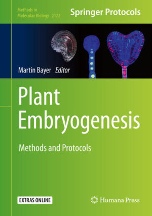 Honighäuschen (Bonn) - This volume details state-of-the-art methods for the study of plant embryogenesis in the model organism Arabidopsis thaliana, other models, and non-model species. Chapters guide readers through genetic screens, phenotypic analysis, live imaging, transcriptional profiling, methods on other model and non-model species beyond Arabidopsis thaliana, and introduction to systems that allow to culture or produce zygotic and somatic embryos in vitro. Written in the highly successful Methods in Molecular Biology series format, chapters include introductions to their respective topics, lists of the necessary materials and reagents, step-by-step, readily reproducible laboratory protocols, and tips on troubleshooting and avoiding known pitfalls. Authoritative and cutting-edge, Plant Embryogenesis: Methods and Protocols aims to ensure successful results in the further study of this vital field. The chapter Small RNA In Situ Hybridizations on Sections of Arabidopsis Embryos is available open access under a Creative Commons Attribution 4.0 International License via link.springer.com.
