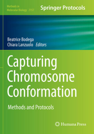 Honighäuschen (Bonn) - This detailed book collects methods based on the evolution of the chromosome conformation capture (3C) technique and other complementary approaches to dissect chromatin conformation with an emphasis on dissection of nuclear compartmentalization and visualization in imaging. Written for the highly successful Methods in Molecular Biology series, chapters include introductions to their respective topics, lists of the necessary materials and reagents, step-by-step, readily reproducible laboratory protocols, and tips on troubleshooting and avoiding known pitfalls. Authoritative and practical, Capturing Chromosome Conformation: Methods and Protocols serves as an ideal guide for researchers working to further understand 3D genome organization.