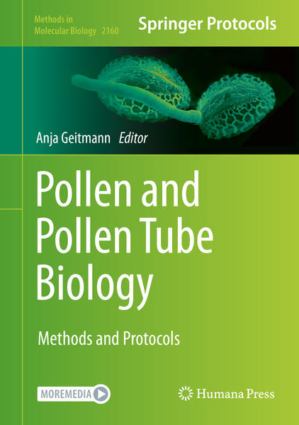 Honighäuschen (Bonn) - This volume explores a collection of experimental techniques used to investigate different aspects of pollen development and function, including its role in reaching the ovule and delivering the two sperm cells. The techniques discussed range from basic methodology to cultivate pollen in vitro to the sophisticated experiments involving micromanipulation, Lab-on-Chip technology, or high-end imaging. The chapters in this book cover topics such as pollen grain counting using a cell counter
