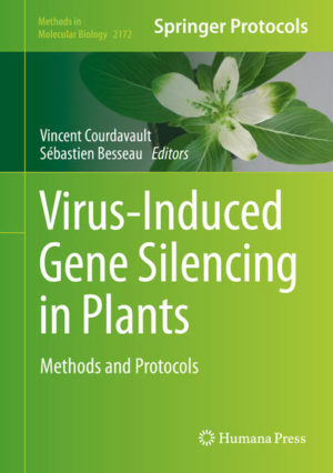 Honighäuschen (Bonn) - This volume aims at providing a complete and updated overview of gene downregulation in plants performed through virus-induced gene silencing (VIGS). Chapters guide readers through classical and newly developed protocols of VIGS to allow readers to initiate or optimize their own silencing experiments according to the methods. Written in the highly successful Methods in Molecular Biology series format, chapters include introductions to their respective topics, lists of the necessary materials and reagents, step-by-step, readily reproducible laboratory protocols, and tips on troubleshooting and avoiding known pitfalls.Authoritative and cutting-edge, Virus-Induced Gene Silencing in Plants: Methods and Protocols aims to ensure successful results in the further study of this vital field.