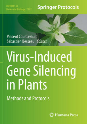 Honighäuschen (Bonn) - This volume aims at providing a complete and updated overview of gene downregulation in plants performed through virus-induced gene silencing (VIGS). Chapters guide readers through classical and newly developed protocols of VIGS to allow readers to initiate or optimize their own silencing experiments according to the methods. Written in the highly successful Methods in Molecular Biology series format, chapters include introductions to their respective topics, lists of the necessary materials and reagents, step-by-step, readily reproducible laboratory protocols, and tips on troubleshooting and avoiding known pitfalls. Authoritative and cutting-edge, Virus-Induced Gene Silencing in Plants: Methods and Protocols aims to ensure successful results in the further study of this vital field.