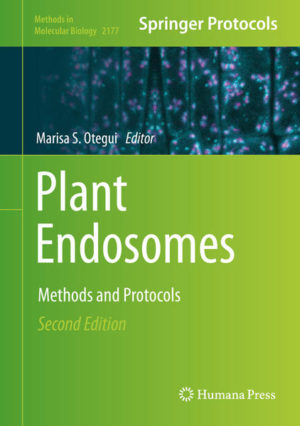 Honighäuschen (Bonn) - This second edition details techniques for the study of cargo trafficking through endosomes. New and updated chapters guide readers through methods and protocols on the structural aspects of plant endosomes, combined biochemical, omics, imaging approaches to study the dynamics and contents of endosomal compartments. Additional chapters are dedicated to the analysis of lipids on endosomes and the identification and analysis of lipid binding proteins and lipid-binding domains relevant for the study of plant endosomes. Written in the highly successful Methods in Molecular Biology series format, chapters include introductions to their respective topics, lists of the necessary materials and reagents, step-by-step, readily reproducible laboratory protocols, and tips on troubleshooting and avoiding known pitfalls. Authoritative and cutting-edge, Plant Endosomes: Methods and Protocols, Second Edition aims to ensure successful results in the further study of this vital field.