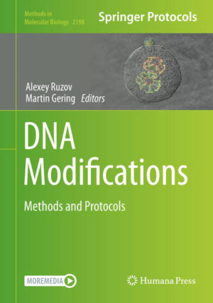 Honighäuschen (Bonn) - This book provides an overview of methods and experimental protocols that are currently used to analyze the presence and abundance of non-canonical DNA nucleotides in different biological systems. Focusing particularly on the newly discovered and less studied DNA modifications that are enzymatically produced and are likely to play specific roles in various biological processes, the volume explores chromatography- and mass spectrometry-based techniques for the detection and quantification of DNA modifications, antibody-based approaches to study their spatial distribution in different cells and tissues, and methods to analyze their genomic distribution with the help of bioinformatics tools that interrogate the corresponding datasets. Written for the highly successful Methods in Molecular Biology series, chapters include introductions to their respective topics, lists of the necessary materials and reagents, step-by-step, readily reproducible laboratory protocols, and tips on troubleshooting and avoiding known pitfalls. Authoritative and comprehensive, DNA Modifications: Methods and Protocols serves as an ideal guide to research scientists and PhD students in this rapidly developing discipline, and, thus, will ultimately contribute to deciphering the roles of non-canonical DNA nucleotides in different biological systems.