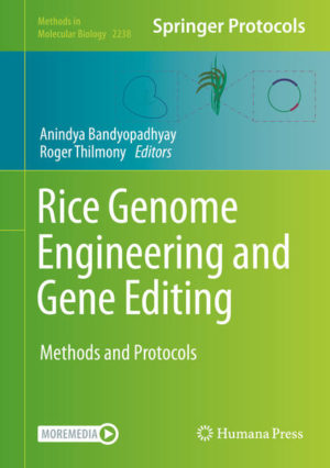 Honighäuschen (Bonn) - This detailed volume explores rice molecular biology, genetic engineering, and genome editing technologies. Dividing into three parts, the book covers subjects such as genetic engineering and tissue culture of rice, including efficient methods for rice transformation and regeneration, genome editing, targeted integration, and gene stacking in rice, including multiple methods utilizing CRISPR systems for targeted gene knock-out or genome modification via base editing, and diverse methods describing bioinformatic, molecular, and cellular analyses in rice. Written for the highly successful Methods in Molecular Biology series, chapters include introductions to their respective topics, lists of the necessary materials and reagents, step-by-step, readily reproducible laboratory protocols, and tips on troubleshooting and avoiding known pitfalls. Authoritative and practical, Rice Genome Engineering and Gene Editing: Methods and Protocols serves as a valuable resource for researchers worldwide striving to further their efforts on advancing research and producing genetically improved rice varieties.