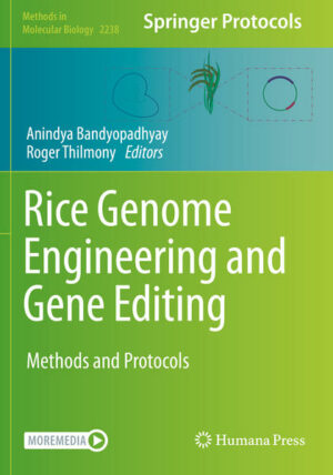 Honighäuschen (Bonn) - This detailed volume explores rice molecular biology, genetic engineering, and genome editing technologies. Dividing into three parts, the book covers subjects such as genetic engineering and tissue culture of rice, including efficient methods for rice transformation and regeneration, genome editing, targeted integration, and gene stacking in rice, including multiple methods utilizing CRISPR systems for targeted gene knock-out or genome modification via base editing, and diverse methods describing bioinformatic, molecular, and cellular analyses in rice. Written for the highly successful Methods in Molecular Biology series, chapters include introductions to their respective topics, lists of the necessary materials and reagents, step-by-step, readily reproducible laboratory protocols, and tips on troubleshooting and avoiding known pitfalls. Authoritative and practical, Rice Genome Engineering and Gene Editing: Methods and Protocols serves as a valuable resource for researchers worldwide striving to further their efforts on advancing research and producing genetically improved rice varieties.
