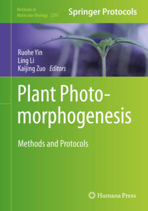 Honighäuschen (Bonn) - This book provides detailed protocols for research in plant photomorphogenesis. The collection includes a broad range of topics including assays for shade avoidance responses, assays for light-dependent protein-protein interactions, photobody detection with immunofluorescence and the super-resolution imaging method, protein complex isolation from plants, detection of homodimer and monomer of photoreceptor UVR8 with immunoblotting analysis, assays for seedling greening, procedures for studying skotomorphogenesis, phenotypic study of photomorphogenesis at the seedling stage, expression of Cryptochrome in insect cells, and more. Written for the highly successful Methods in Molecular Biology series, chapters include introductions to their respective topics, lists of the necessary materials and reagents, step-by-step, readily reproducible laboratory protocols, and tips on troubleshooting and avoiding known pitfalls. Authoritative and practical, Plant Photomorphogenesis: Methods and Protocols serves as an ideal guide for researchers and students who are new to the field, as well as a stepping stone for experienced researchers to further their skills in this fast-developing field.