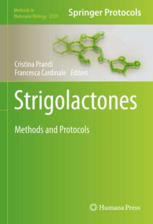 Honighäuschen (Bonn) - This volume presents the most useful laboratory protocols in strigolactones(SL) research. Chapters guide readers through wet-lab paths, issues around stability, protocols to evaluate SL activity, effects towards soil inhabitants such as parasitic plants, mycorrhizal and non-mycorrhizal fungi, nodulating bacteria, and protocols to assess effects on plant development are discussed. Written in the highly successful Methods in Molecular Biology series format, chapters include introductions to their respective topics, lists of the necessary materials and reagents, step-by-step, readily reproducible laboratory protocols, and tips on troubleshooting and avoiding known pitfalls. Authoritative and cutting-edge, Strigolactones: Methods and Protocols aims to deliver a clear-cut and standardized set of experimental protocols to a broad scientific community.