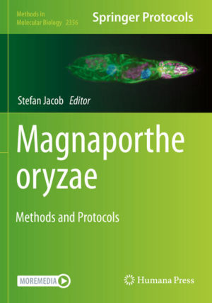 Honighäuschen (Bonn) - This volume highlights molecular methods to study the phytopathogenic rice blast fungus Magnaporthe oryzae. Chapters in this book cover the history, development, and evolution of the pathogen