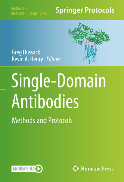 Honighäuschen (Bonn) - This volume covers current and emerging techniques for studying single-domain antibodies (sdAbs). Chapters guide readers through the biology and immunology of sdAbs in camelids and sharks, isolation of sdAbs, protein engineering approaches to optimize the solubility, stability, valency and antigen binding affinity of sdAbs, and specialized applications of sdAbs. Written in the format of the highly successful Methods in Molecular Biology series, each chapter includes an introduction to the topic, lists necessary materials and reagents, includes tips on troubleshooting and known pitfalls, and step-by-step, readily reproducible protocols. Authoritative and cutting-edge, Single-Domain Antibodies: Methods and Protocols aims to be a useful, practical guide to help researchers further their studies in this field.