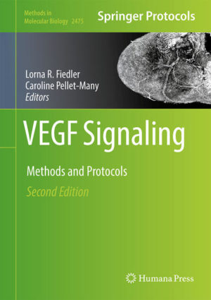Honighäuschen (Bonn) - This volume provides an updated collection of protocols for manipulating and studying VEGF signaling pathways in vitro and in vivo and aims to present a range of both firmly established and newly emerging technologies. Covering multiple model species, from mouse to zebrafish to human, the book explores the role of VEGF and VEGFR isoforms in exosomes, cultured cells, or in tissues, as well as robust cell assays for the investigation of basic angiogenic mechanisms and VEGF signaling in more complex cellular systems, amongst other subjects. Written for the highly successful Methods in Molecular Biology series, chapters include introductions to their respective topics, lists of the necessary materials and reagents, step-by-step, readily reproducible laboratory protocols, and tips on troubleshooting and avoiding known pitfalls. Authoritative and up-to-date, VEGF Signaling: Methods and Protocols, Second Edition provides a useful tool for researchers in the vascular biology community and beyond in understanding the basic biology of VEGF signaling and in translating this research into the clinic.