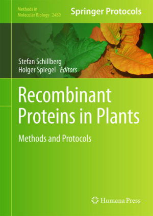 Honighäuschen (Bonn) - This volume provided methods and protocols on recombinant protein production in different plant systems, downstream processing, and strategies to optimize protein expression. Chapters guide readers through recombinant protein production in important plant systems, protein recovery and purification, different strategies to optimise productivity, cloning and fusion protein approaches, and the regulation and freedom to operate analysis of plant-produced proteins. Written in the highly successful Methods in Molecular Biology series format, chapters include introductions to their respective topics, lists of the necessary materials and reagents, step-by-step, readily reproducible laboratory protocols, and tips on troubleshooting and avoiding known pitfalls.Authoritative and cutting-edge, Recombinant Proteins in Plants: Methods and Protocols aims to be useful to newcomers and experienced researchers interested in expanding their expertise in the field of plant-based protein production. Chapters 6, 8 and 17 are available open access under a Creative Commons Attribution 4.0 International License via link.springer.com.