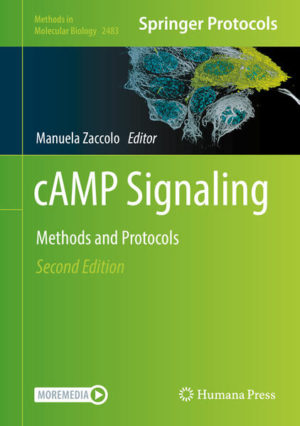 Honighäuschen (Bonn) - This volume discusses the latest techniques used by researchers to measure cAMP activity at the cell population, whole cell, and subcellular level. The techniques covered in the book address questions related to cAMP compartmentalization, which look at relevant protein-protein interactions that increase the spatial and temporal resolution of cAMP signals detection, and that can help in the integration of the increasingly complex information that is becoming available in this field. Written in the highly successful Methods in Molecular Biology series format, chapters include introductions to their respective topics, lists of the necessary materials and reagents, step-by-step, readily reproducible laboratory protocols, and tips on troubleshooting and avoiding known pitfalls. Cutting-edge and comprehensive, cAMP Signaling: Methods and Protocols, Second Edition is a valuable resource for scientists and researchers who are interested in learning more about this important and developing field.Chapter 7 is available open access under a Creative Commons Attribution 4.0 International License via link.springer.com.