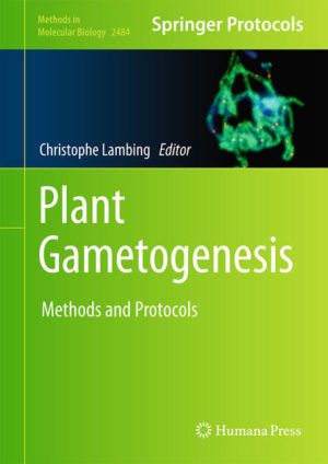 Honighäuschen (Bonn) - This volume provides protocols and methods on techniques to study plant gametogenesis. Chapters are divided into four sections covering omics, cytological, molecular approaches, plant transformation, genome editing, bioinformatics, and data analysis. Written in the format of the highly successful Methods in Molecular Biology series, each chapter includes an introduction to the topic, lists necessary materials and reagents, includes tips on troubleshooting and known pitfalls, and step-by-step, readily reproducible protocols.Authoritative and cutting-edge, Plant Gametogenesis: Methods and Protocols aims to be a foundation for future studies and to be a source of inspiration for new investigations in the field.